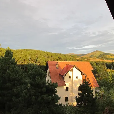 Snow Flake * Zlatibor