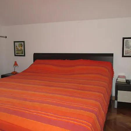 Snow Flake 兹拉蒂博尔