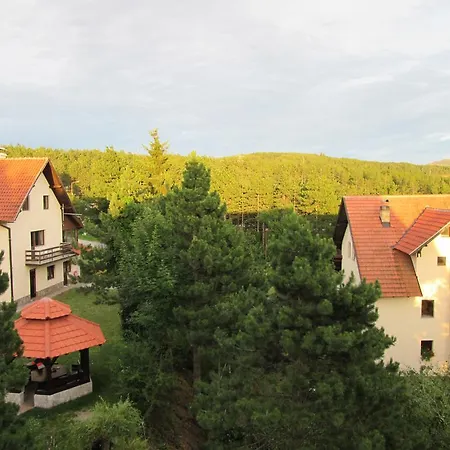 Snow Flake * Zlatibor
