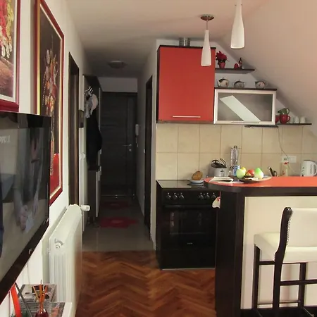 Appartement Snow Flake *