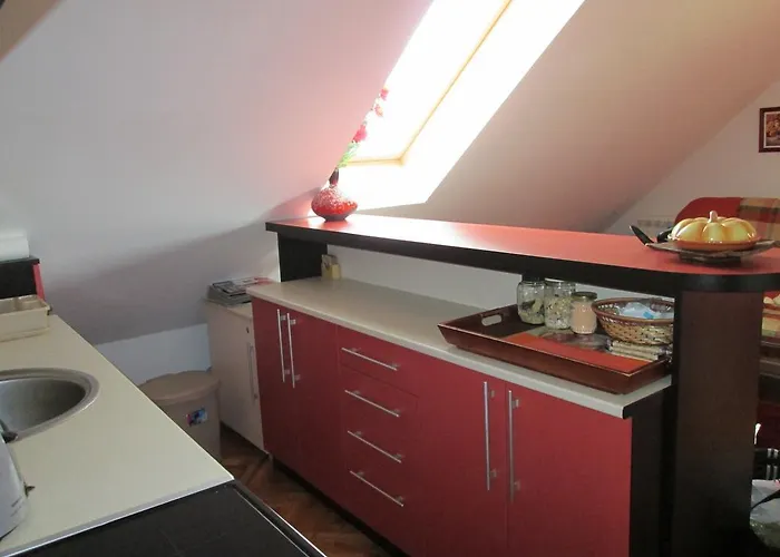 Snow Flake 즐라티보