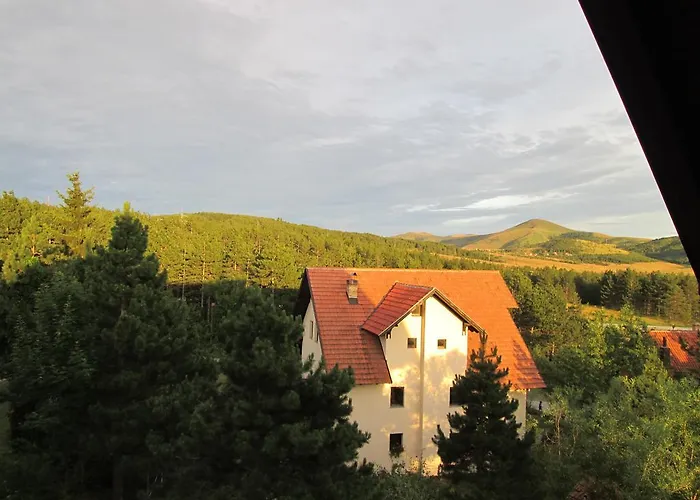 Snow Flake * 즐라티보