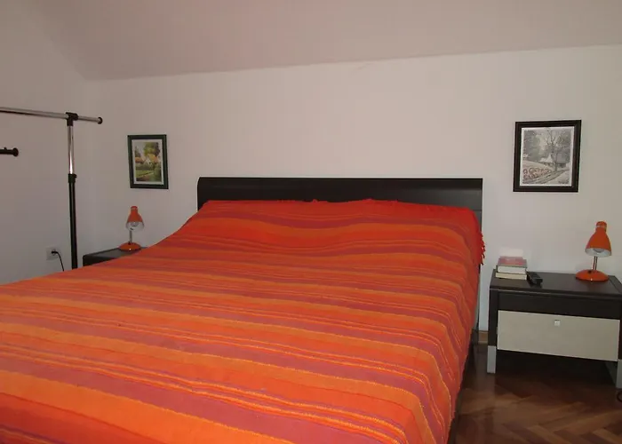 Snow Flake 즐라티보