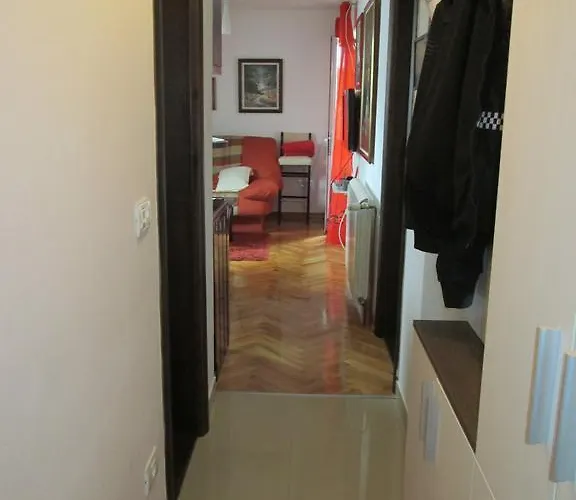 Snow Flake * 즐라티보